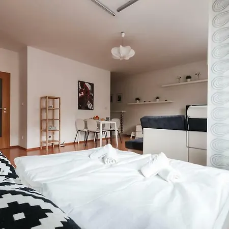 Apartment Spacious Studio 6min To Centre Prague